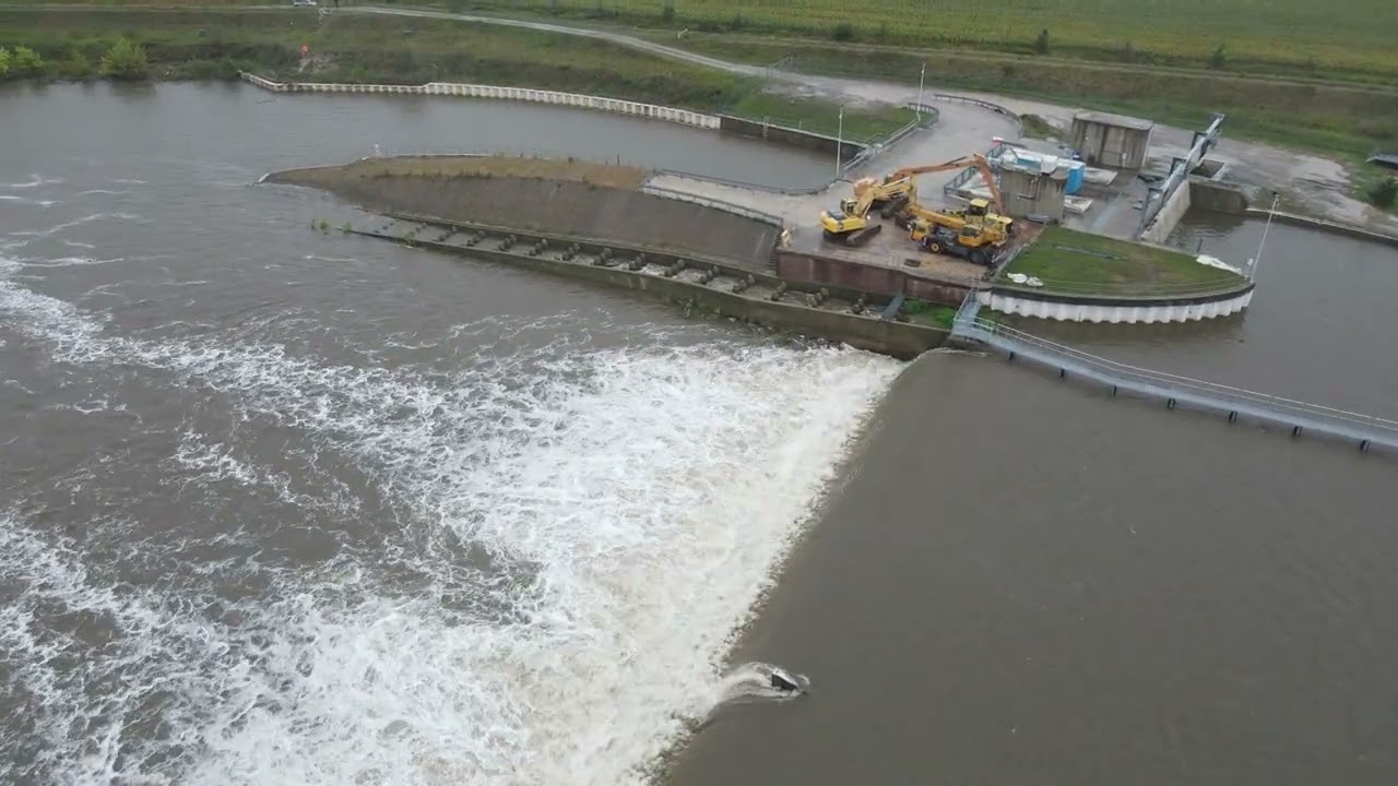 Odra ponad Oławą - stan 13:00 Sobota(14.09.24)