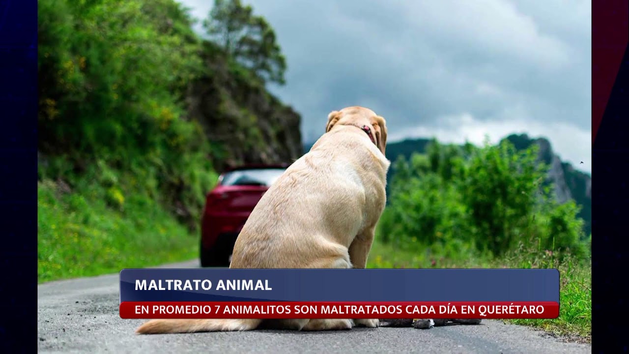 Meganoticias CdMx con Marco Campillo