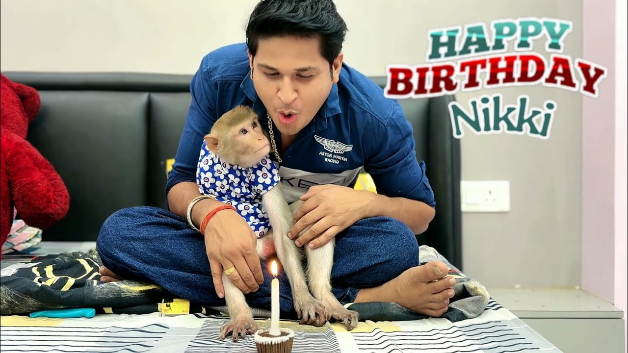 आज निक्की 🐒  Birthday है  🎂 // Sumit Cool dubey #nikkivlogs 
