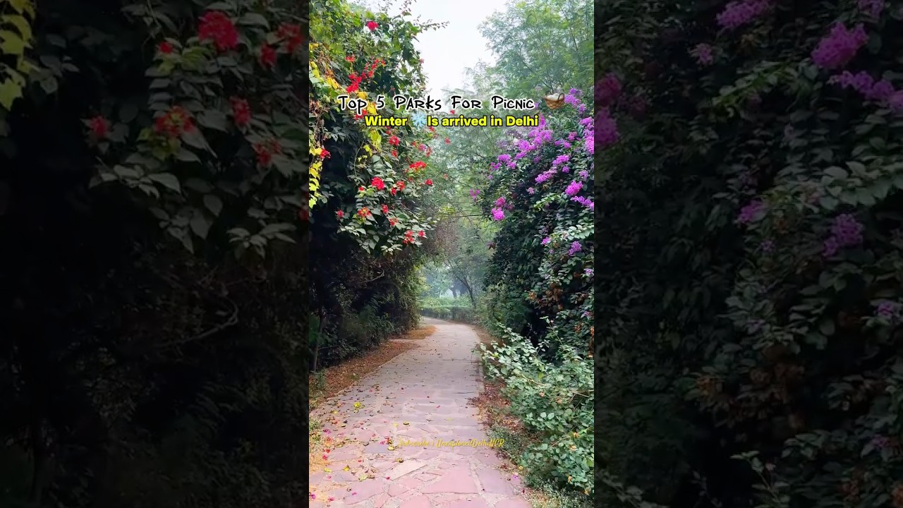 Top 5 Parks For Picnic 🧺 #picnic #park #delhi #picnicspot #travel #ytshorts #india