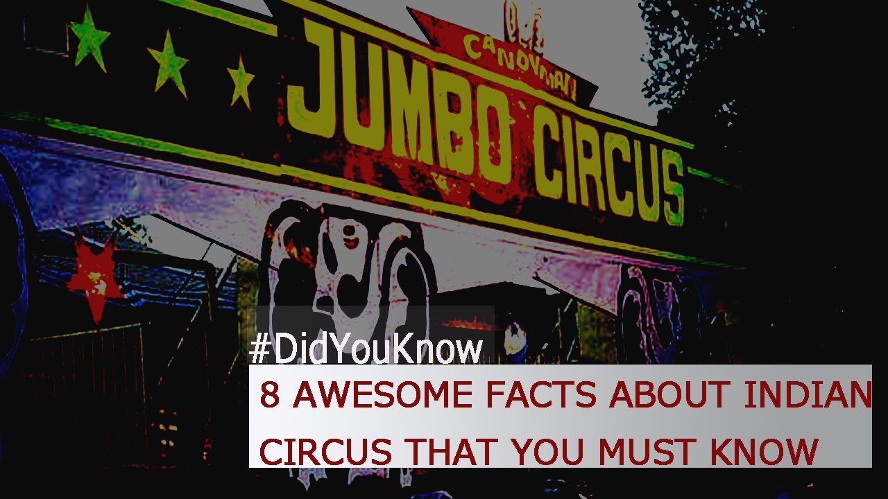 V Box | Eight Interesting Facts About Indian Circus |