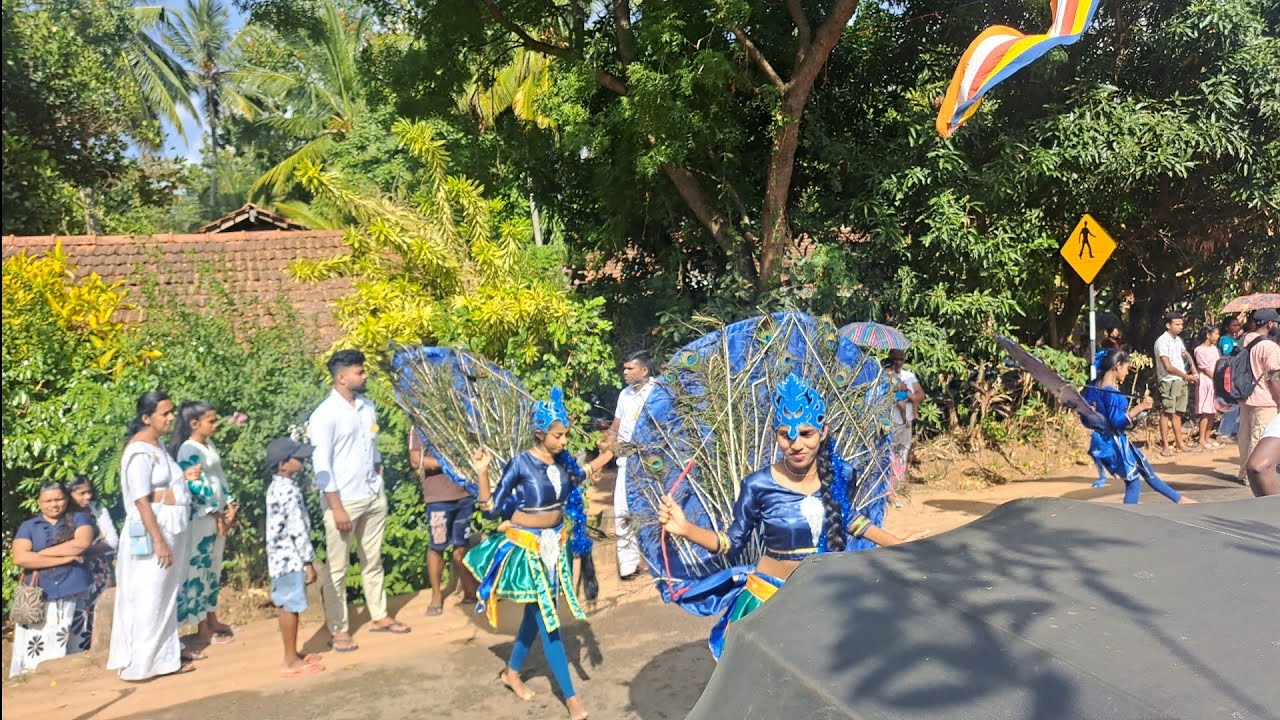 (මොනර නැටුම) දිද්දෙනිය දේවාලයේ ඇසල පෙරහැර #srilanka #පෙරහැර