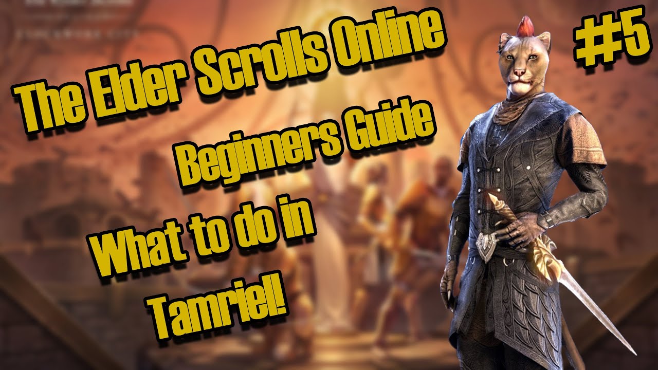 ESO: Beginners Guide - What to do in Tamriel! (Elder Scrolls Online)