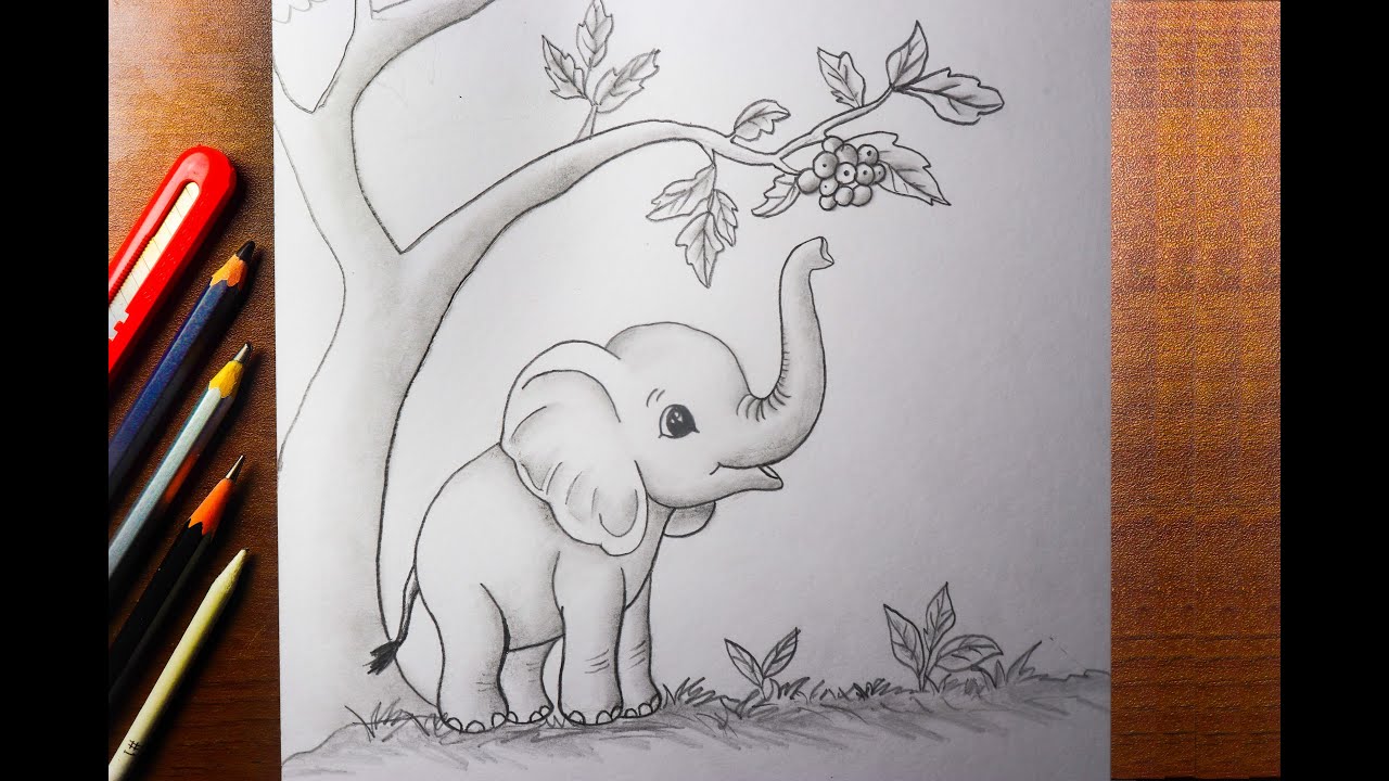 Elephant Drawing/ How to draw Baby Elephant drawing/ Easy Elephant Drawing/ Elephant Scenery drawing