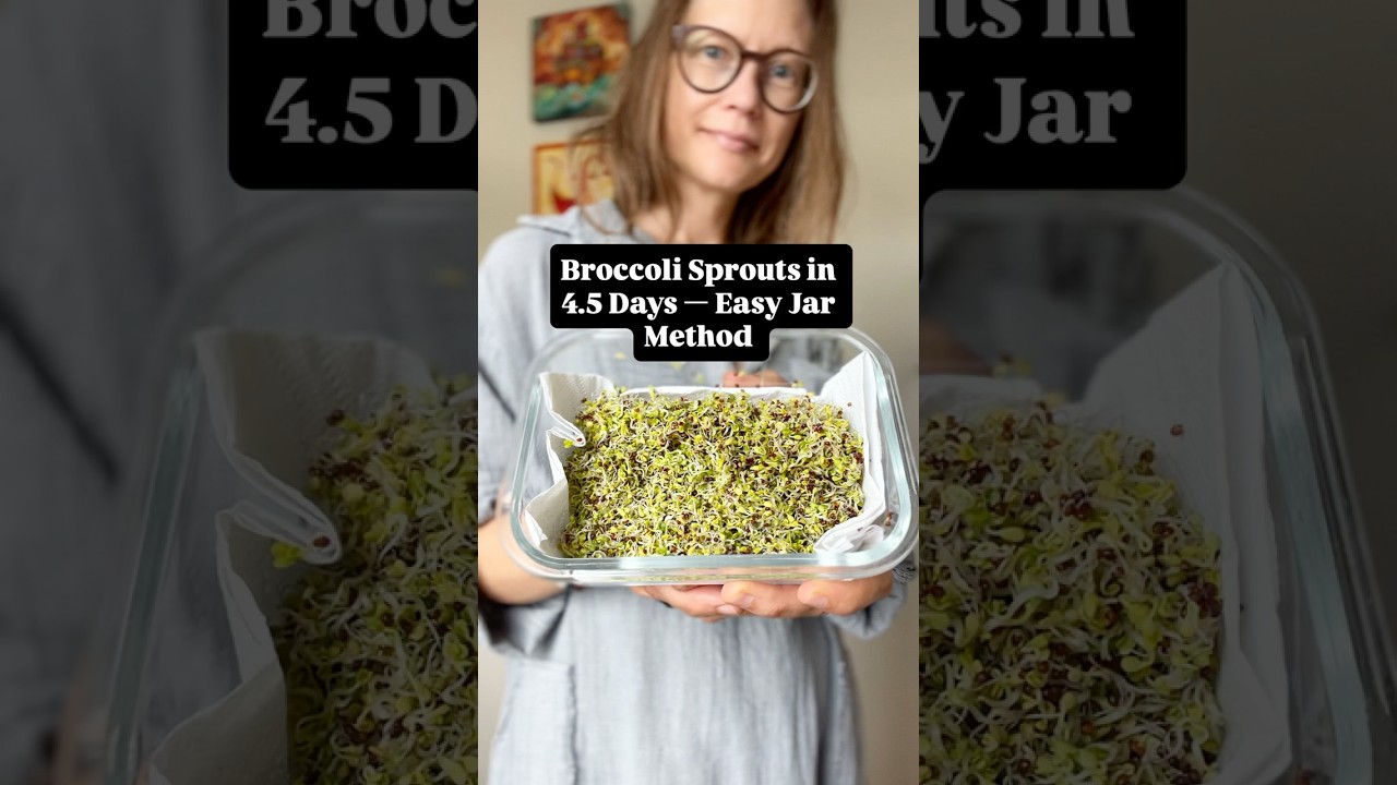 How to Grow Broccoli Sprouts in a Jar | Easy Step-by-Step Tutorial 🌱