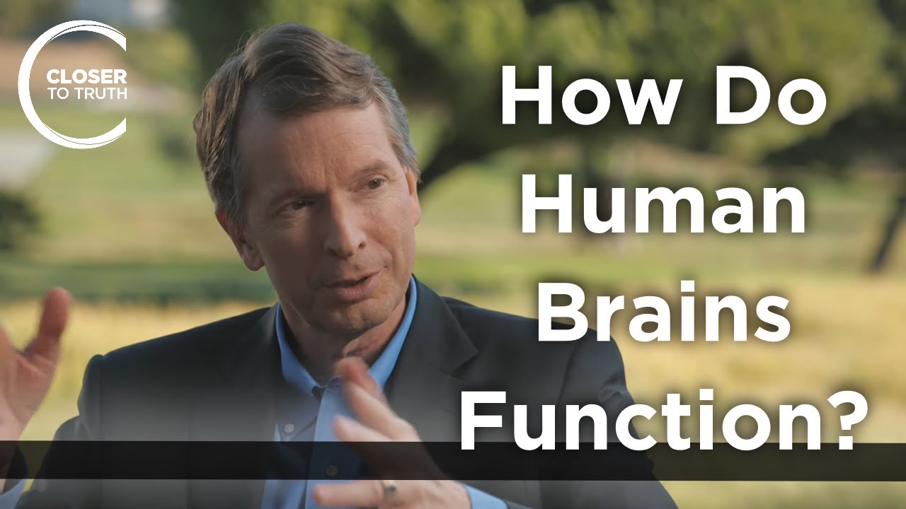 Donald Hoffman - How Do Human Brains Function?