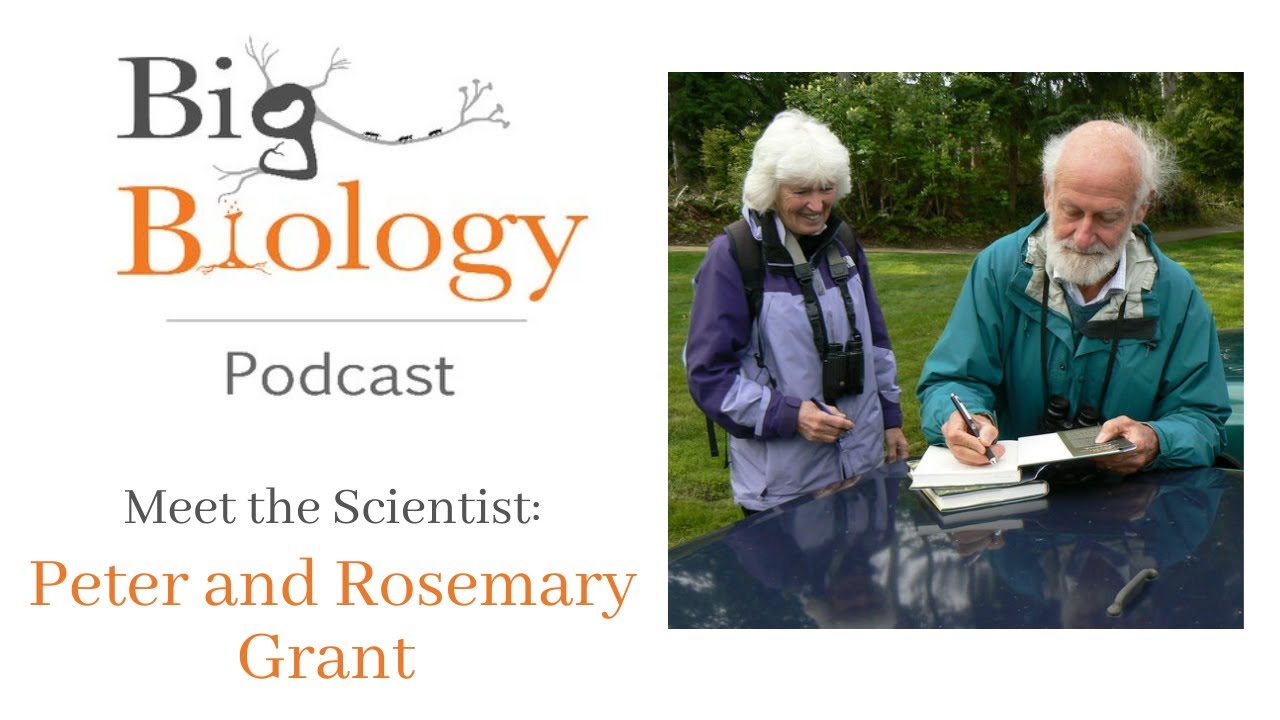 Meet the Scientist: Peter and Rosemary Grant
