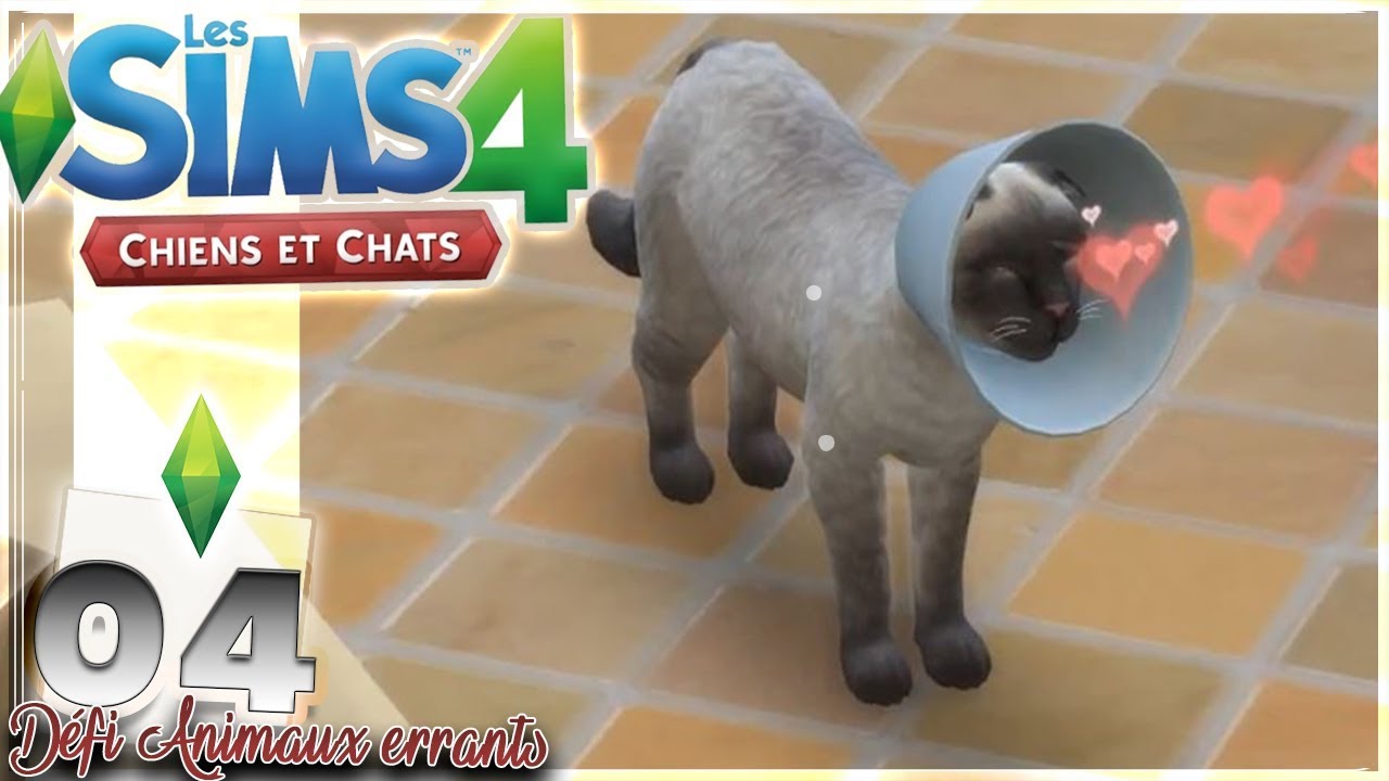 ATTAQUÉ PAR UN ÉCUREUIL !#04 ~Défi animaux errants~ [Sims 4 Chiens & Chats]