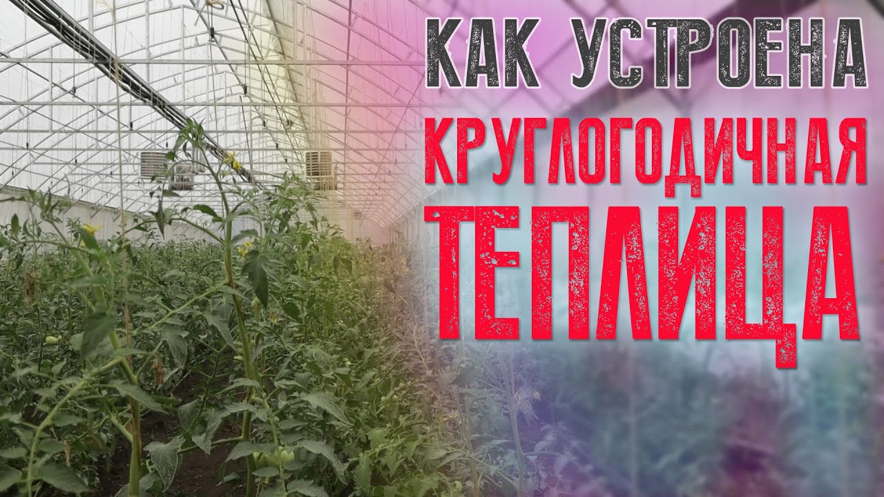 Промышленные и фермерские теплицы для круглогодичного использования. Что обязательно надо знать!