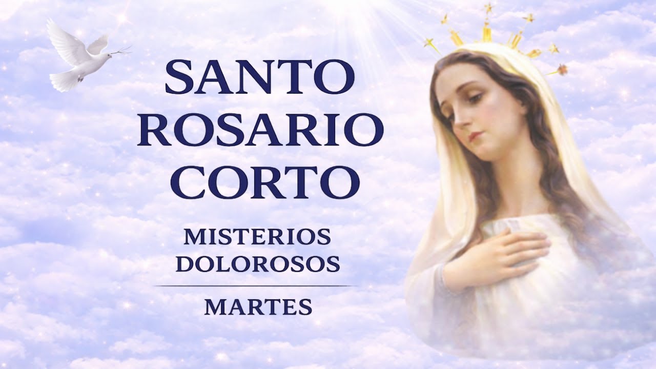 Santo Rosario Corto de Hoy | Misterios Gozosos | Martes 10 de Febrero de 2026