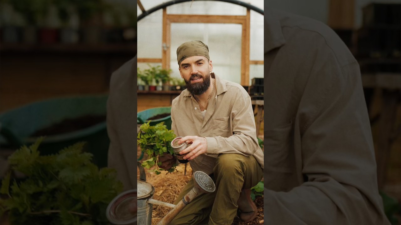 GROW GIANT VEGETABLES WOTH THIS PLANT FEED! 2 INGREDIENTS! 🌿 #shorts