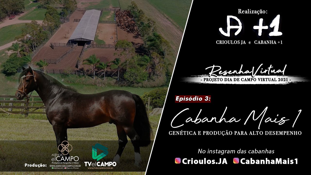 Episódio 3 - Cabanha Mais 1, Genética e Produção para Alto Desempenho - 2ºtemporada - 2021