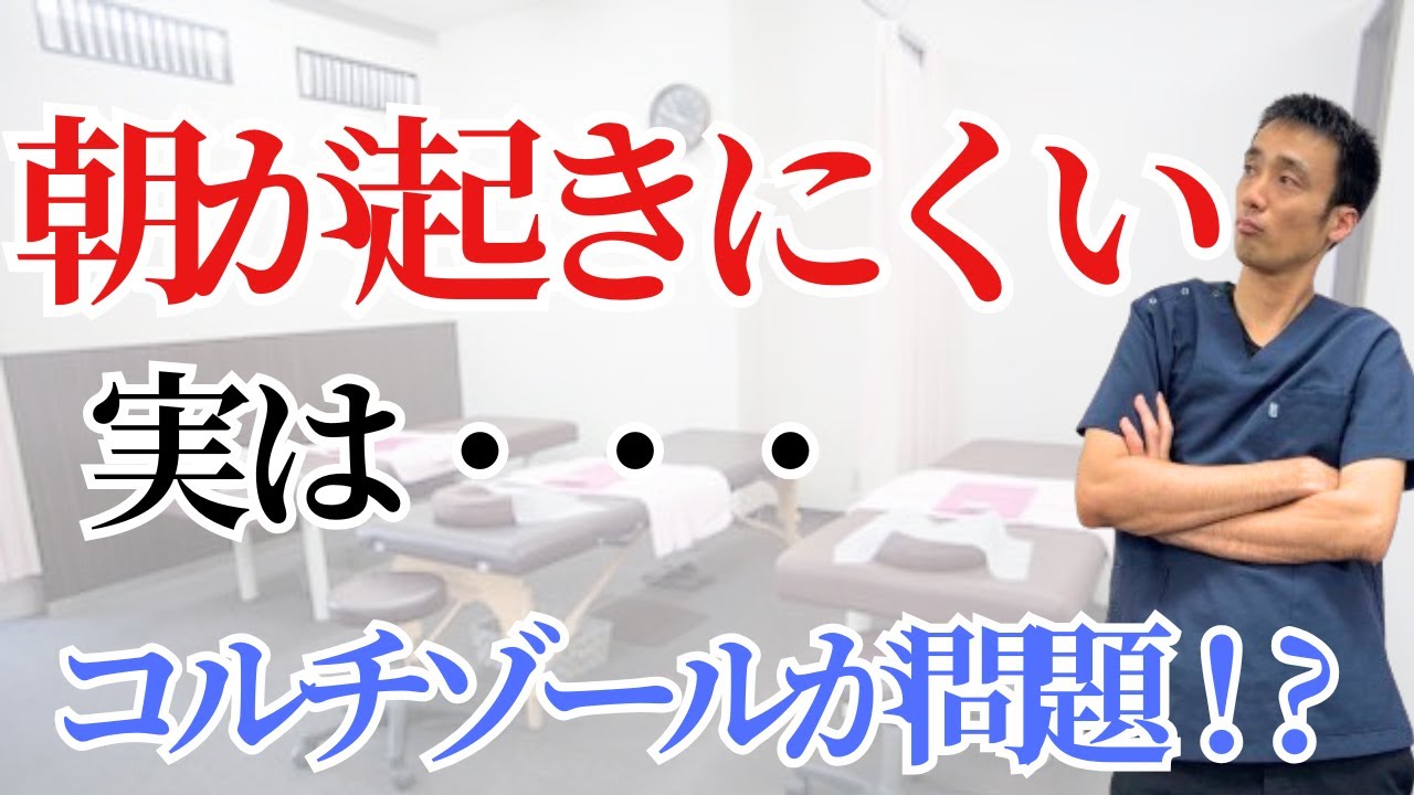 【自律神経の乱れを改善】朝起きれない・だるい・めまいはコルチゾール不足が原因かも？専門家が教える3つの対策セルフケア｜西宮の整骨院が解説