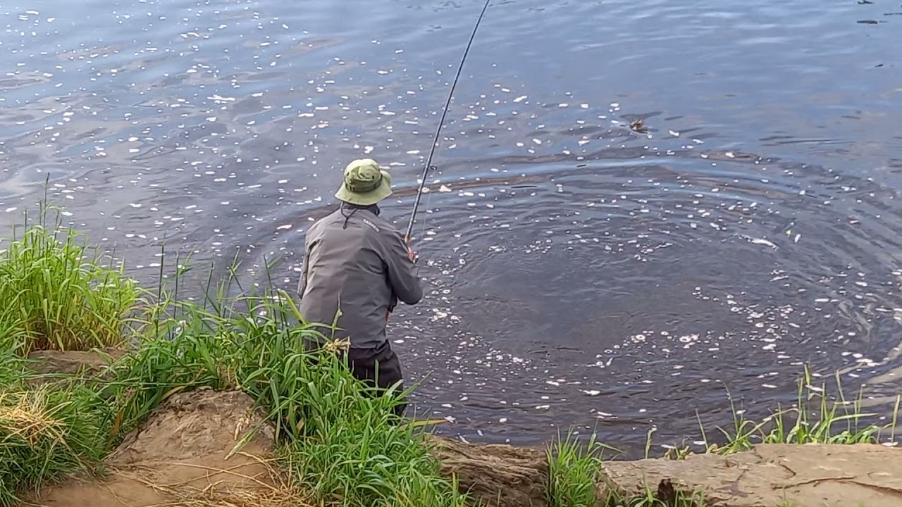 Summer Salmon fishing on River Moy,  Ireland 2021