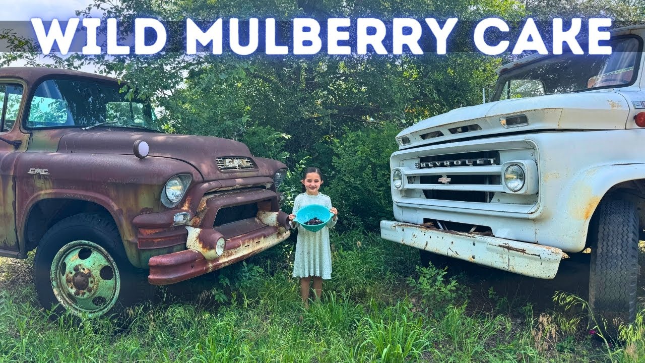 MULBERRY CAKE Junkyard Catch and Cook with WILD Mulberries!