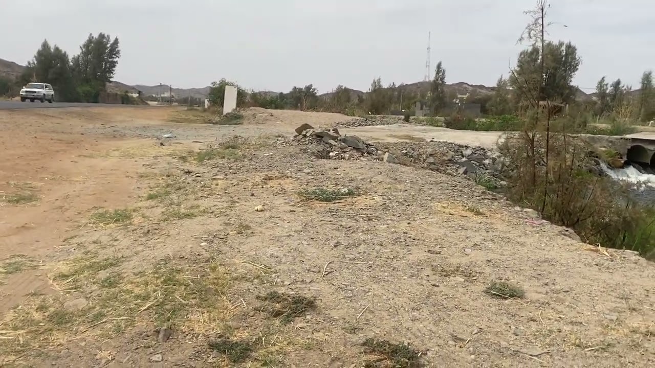 @ صوت جميل من البيئة 