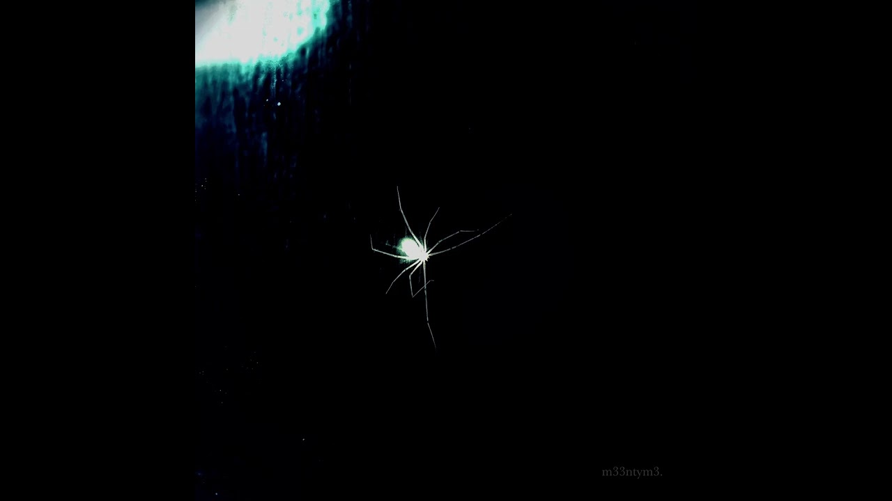LOST IN THE m33ntym3 (LITE. 1) *BEAT TAPE* - DEAN BU.SOUL