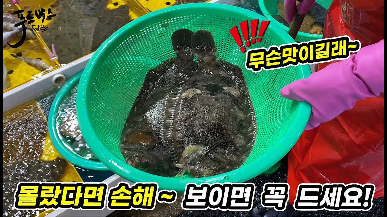 찰가자미 떄문에 호구 될 뻔.. 이걸  몰랐다구요?   그럼 이제라도  꼭 드셔보세요~