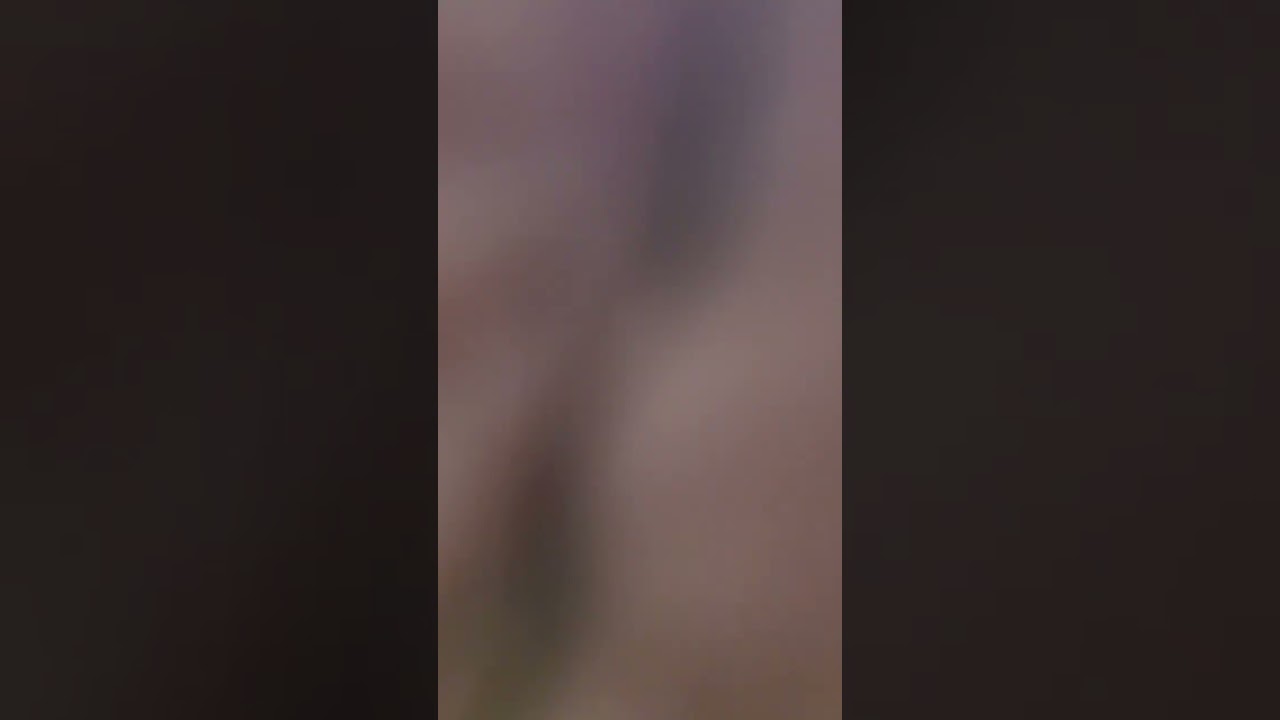 @gamez_man_q8