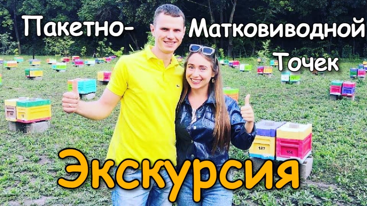 Пакетно-Матковыводной Точек Экскурсия для Друзей / FABRO