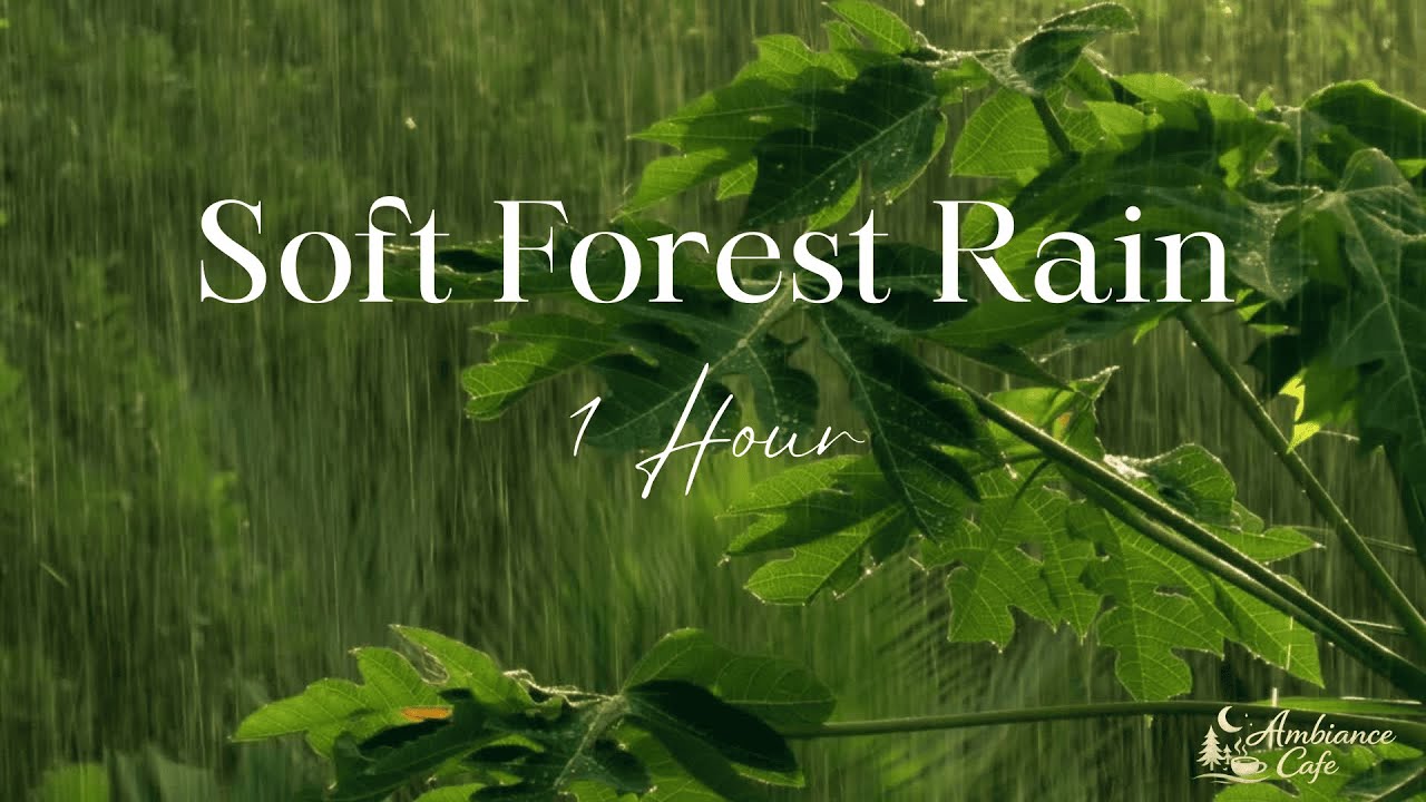 Gentle Rain in a Lush Green Forest 🌧️🌿 | Calm Nature Sounds for Sleep, Focus & Relaxation