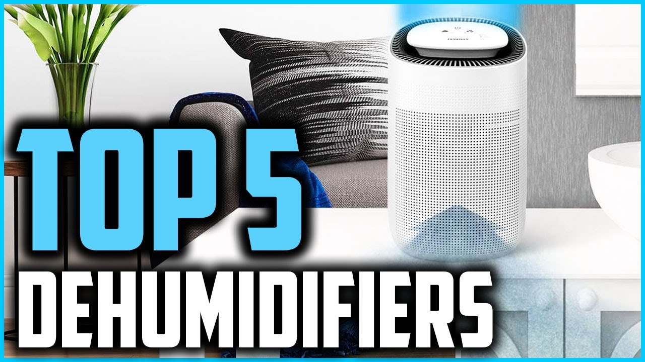 Top 5 Best Dehumidifiers in 2025 Reviews