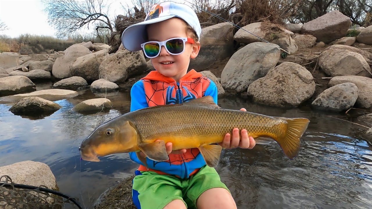 I Wasn’t Sure My Kids Were Ready for These Fish