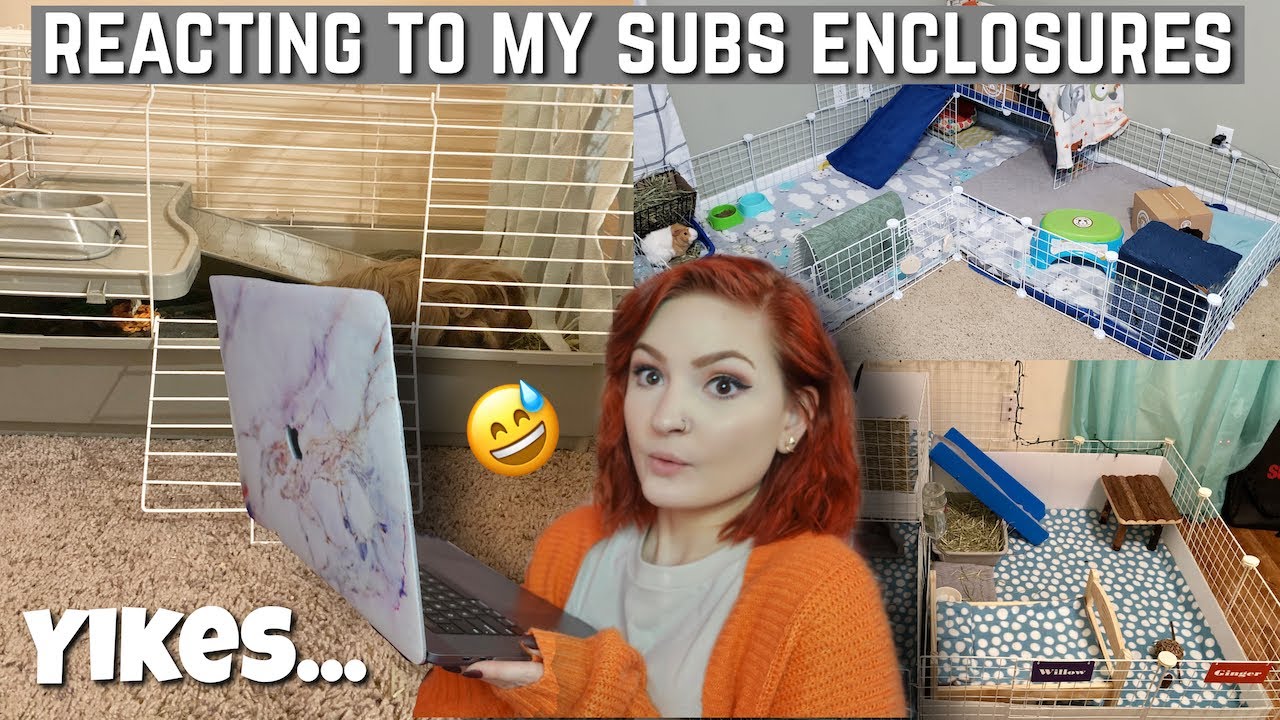 REACTING to my subscribers GUINEA PIG ENCLOSURES!