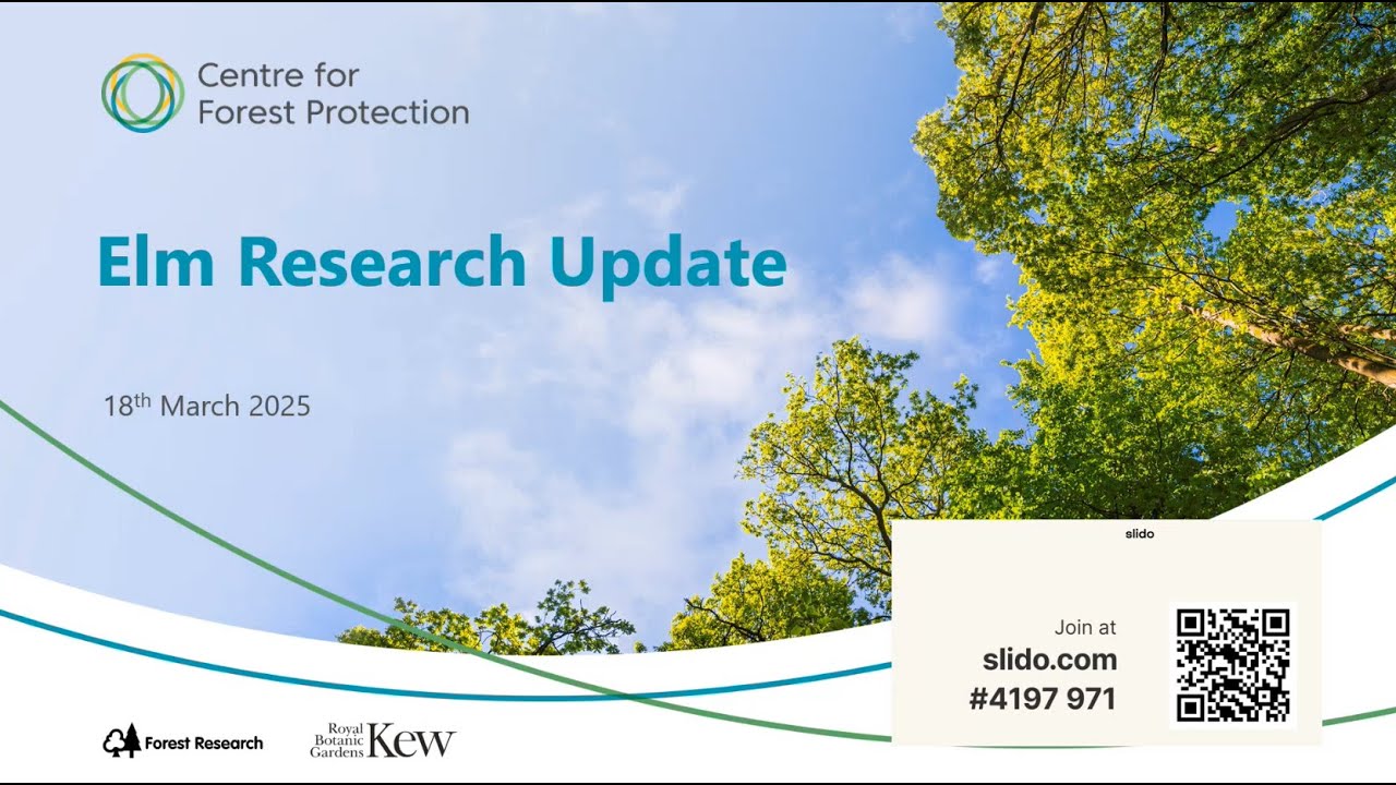 Centre for Forest Protection Webinar - Elm Research Update