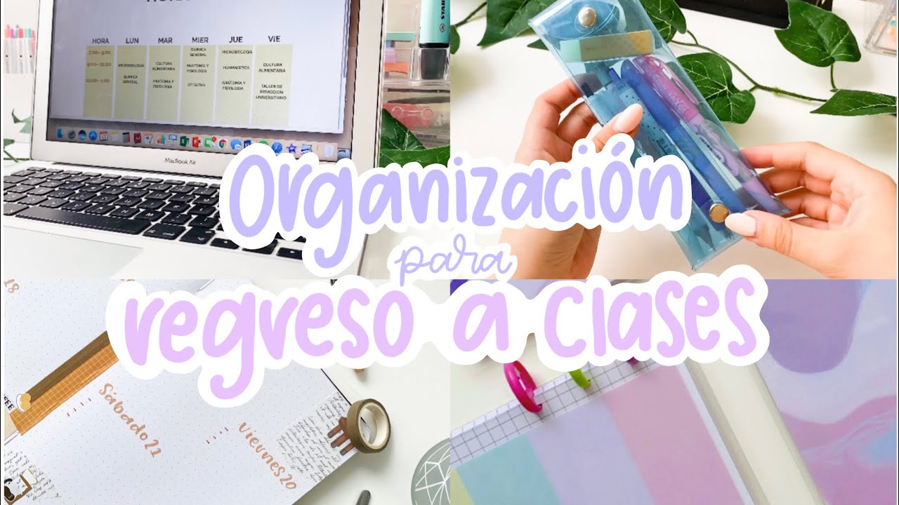 Organizandome para el REGRESO A CLASES / Bullet journal, estuche, cuadernos✨🌿