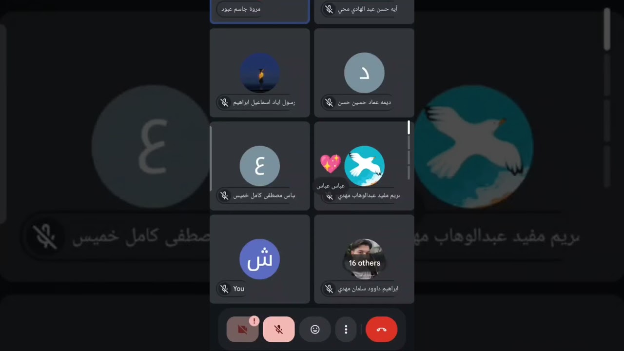 الكتروني حقوق 