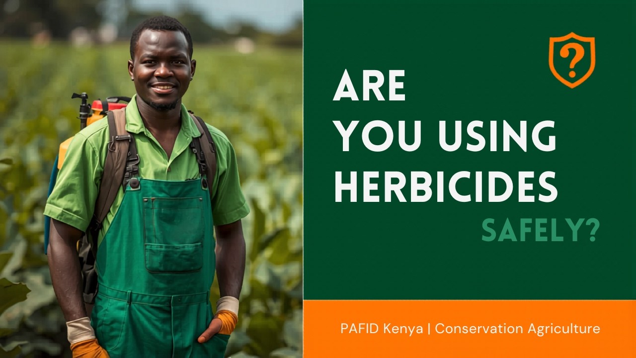 How to effectively & safely use herbicides