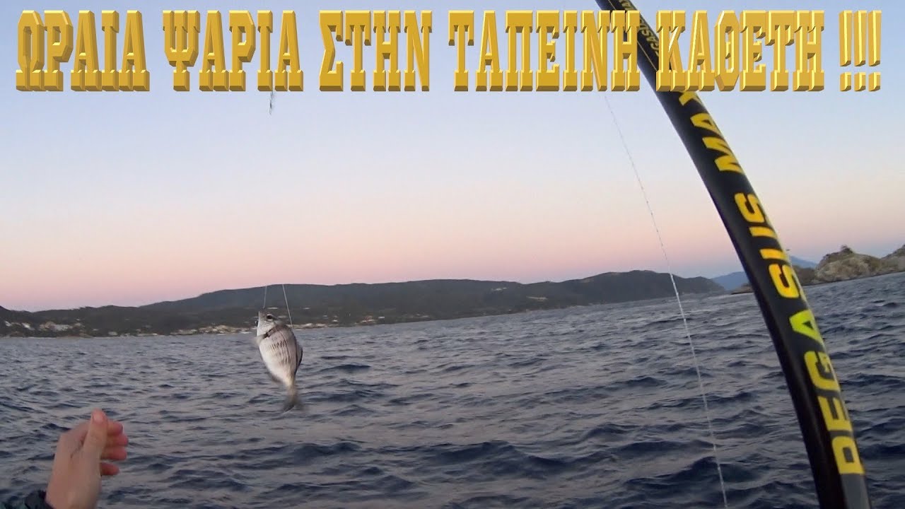 ΨΑΡΕΜΑ ΚΑΘΕΤΗ....σιγουρο φαγητο!!/ vertical fishing ... sure food