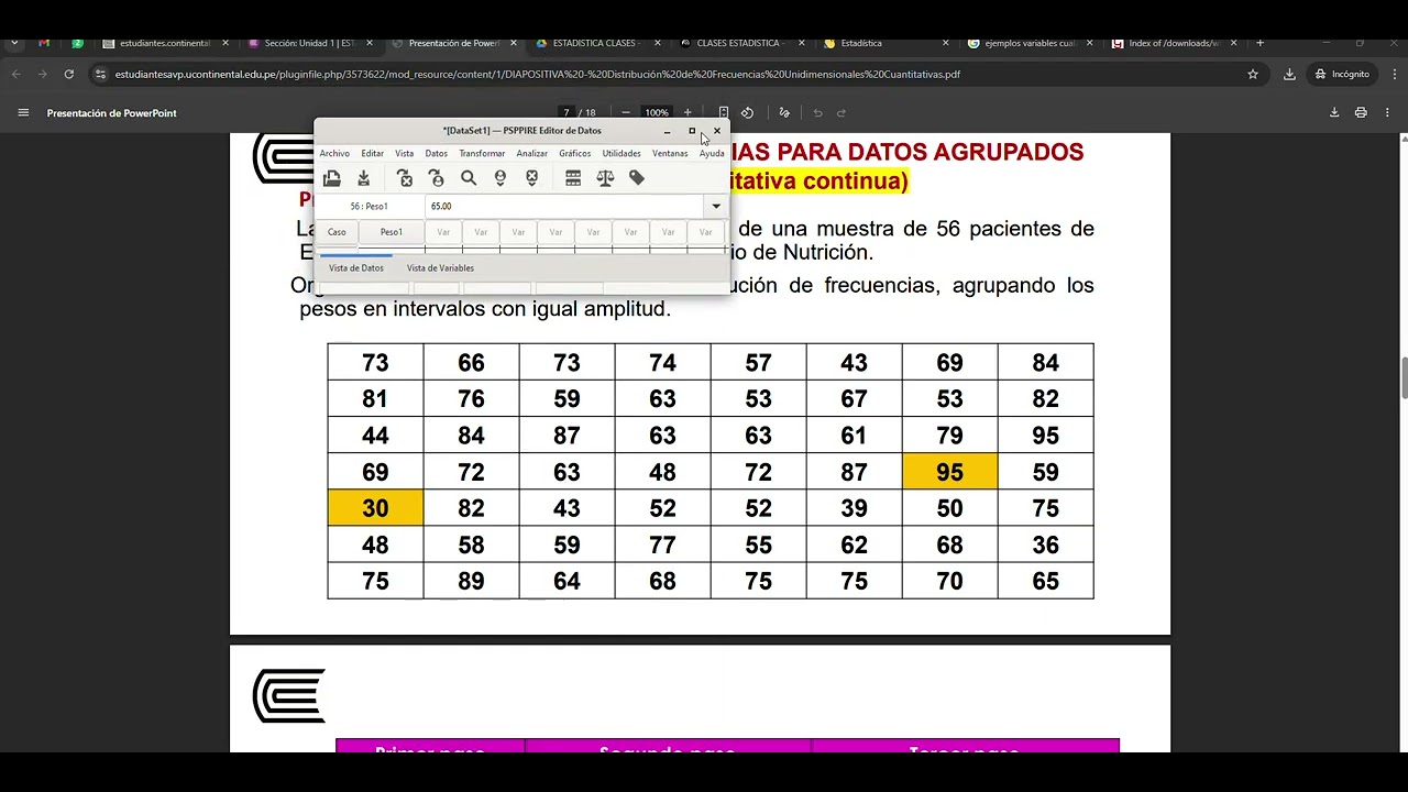 Grabación 2026 01 12 171116