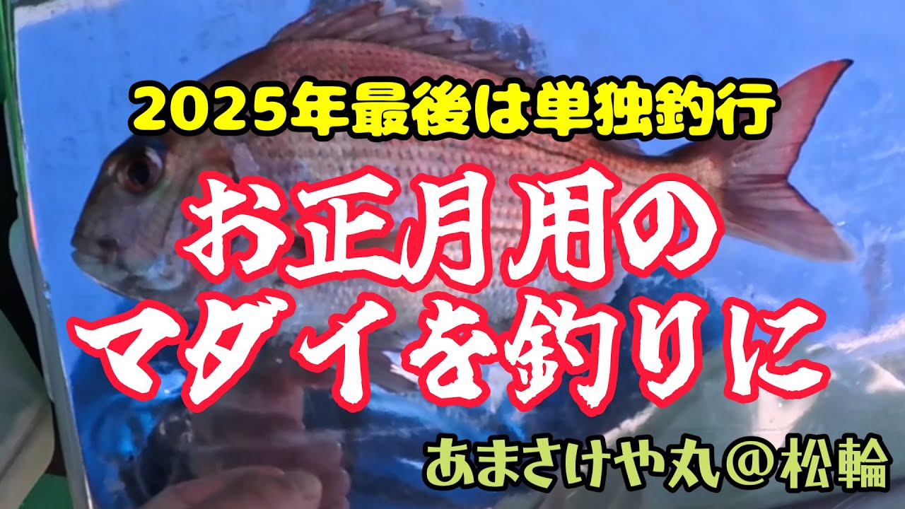 【マダイ】初のコマセマダイに単独釣行でチャレンジ【あまさけや丸】