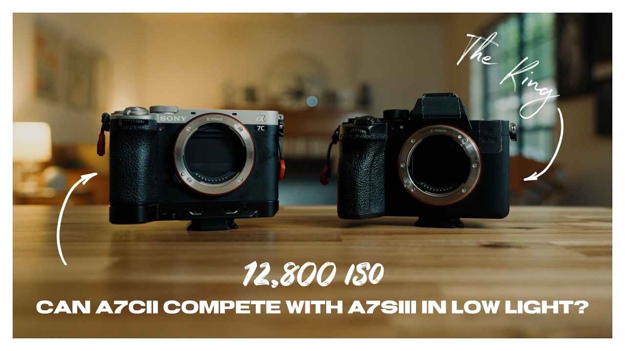 Sony a7CII at 12,800 ISO: Low-Light Beast or Bust?