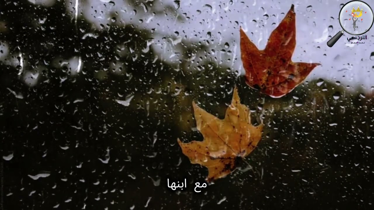 حماتي شيطان فى صورة ملاك #ام_الزوج_النرجسيه#الزوج_النرجسي#النرجسيين #علاقات_سامه #اضطرابات_نفسية