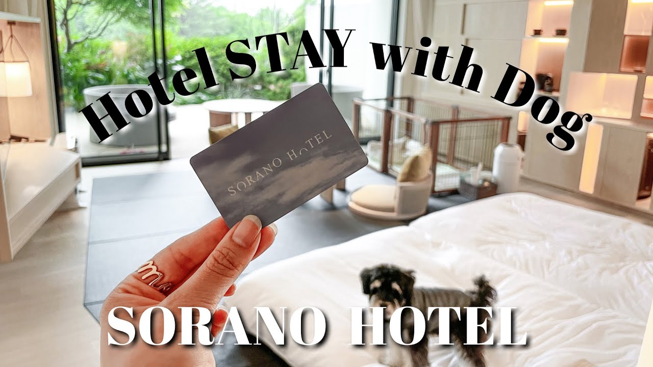 【犬と泊まれるホテル】SORANO  HOTEL