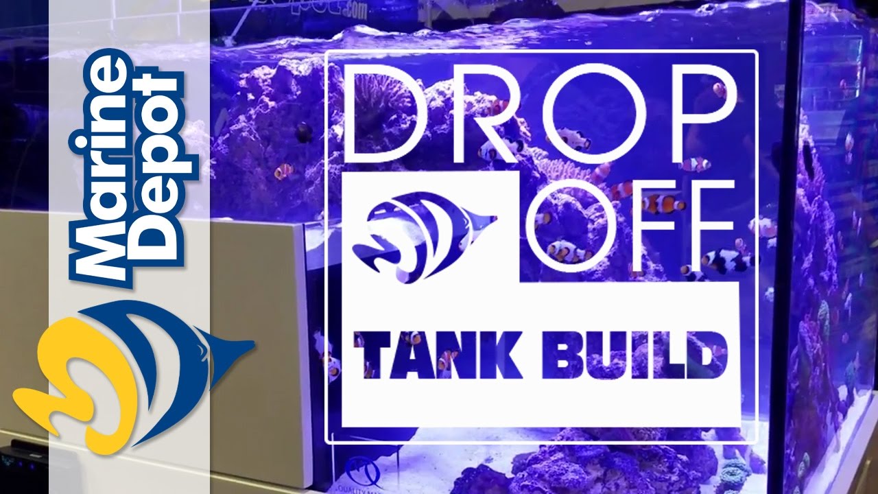 Drop-Off Tank Build #1: Help Us Pick a Sump!