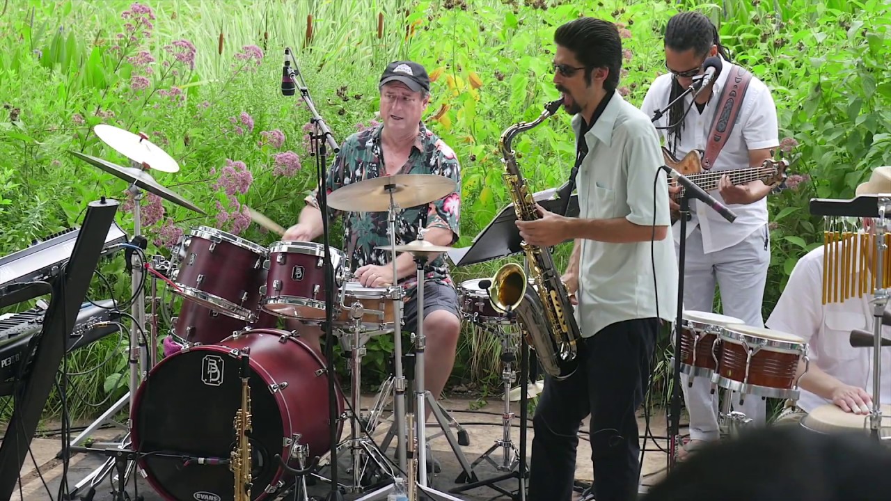 David Bach Consort at the US Botanic Garden Concert Series 2019