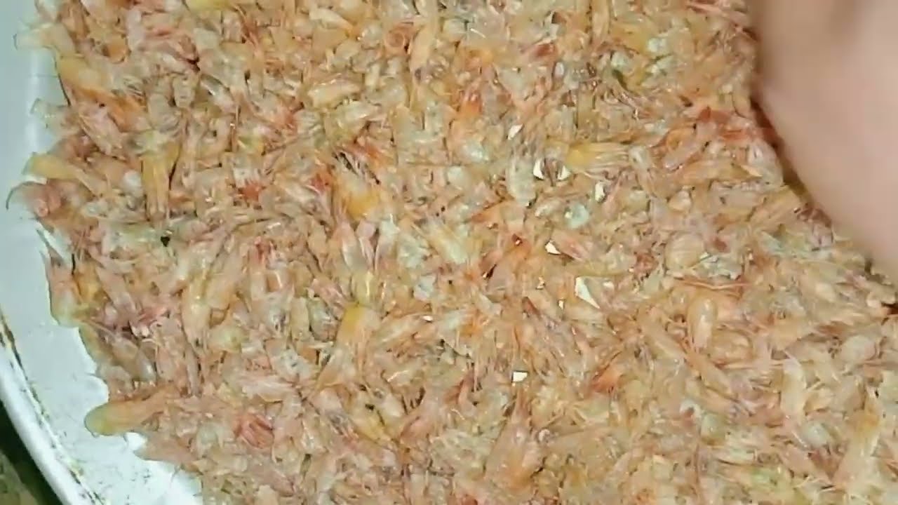 تجفيف قشور الجمبري سر من اسرار المطاعم