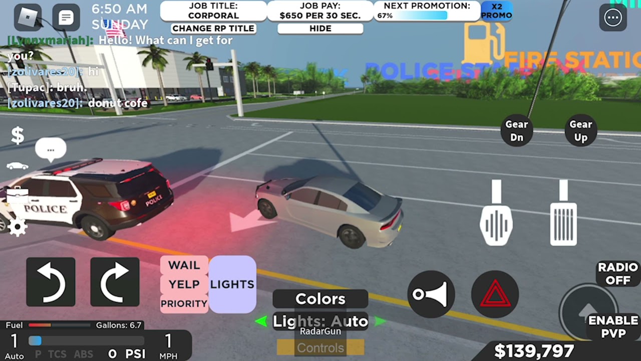 Southwest Florida undercover police role-play