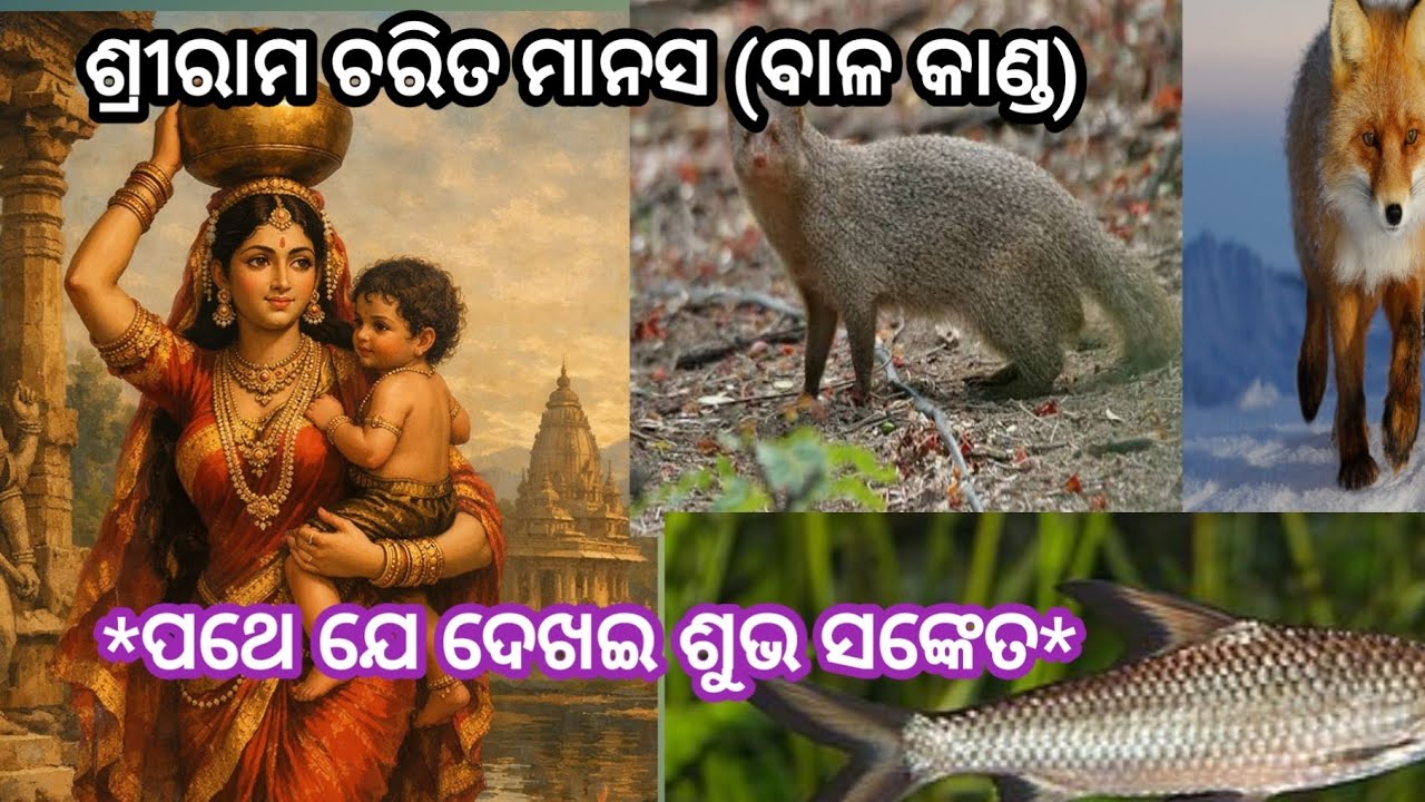 🙏🙏*ଦଶରଥଙ୍କ ଶୁଭ ସଙ୍କେତ ଦର୍ଶନ*🙏🙏