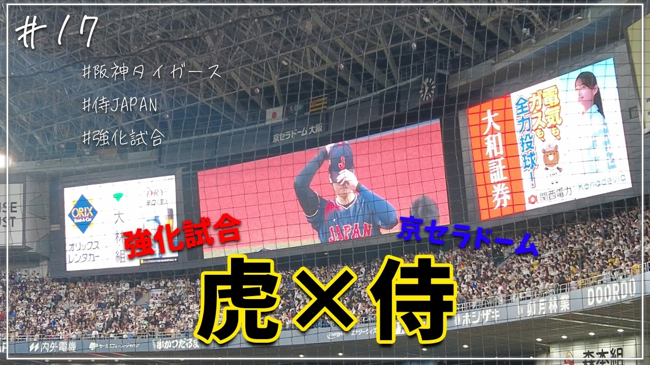 【WBC強化試合】阪神×侍ジャパンの試合観に行ってきた！　#WBC #阪神タイガース #侍ジャパン