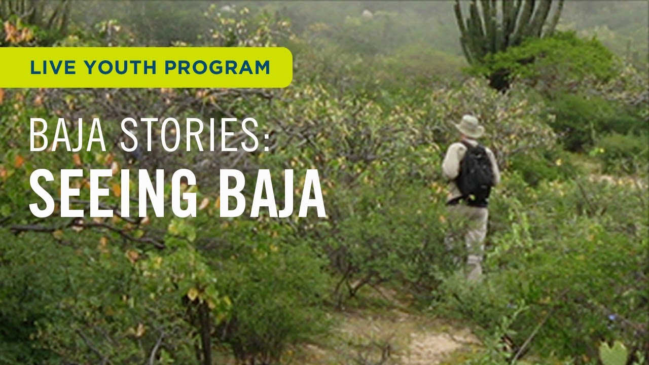 Baja Stories: Seeing Baja