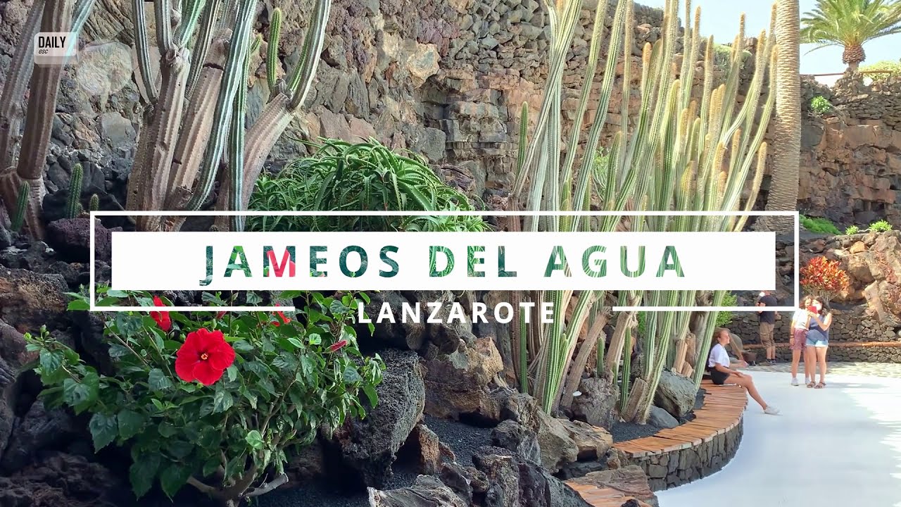 Jameos del Agua | Discover LANZAROTE