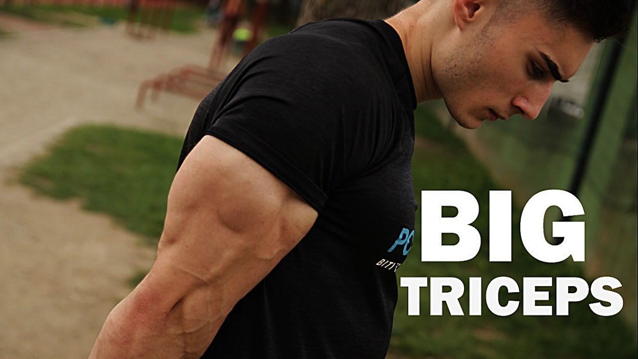 DO this for big TRICEPS!!  - Top 4 Exercises | Danijel Švec - Street Brothers