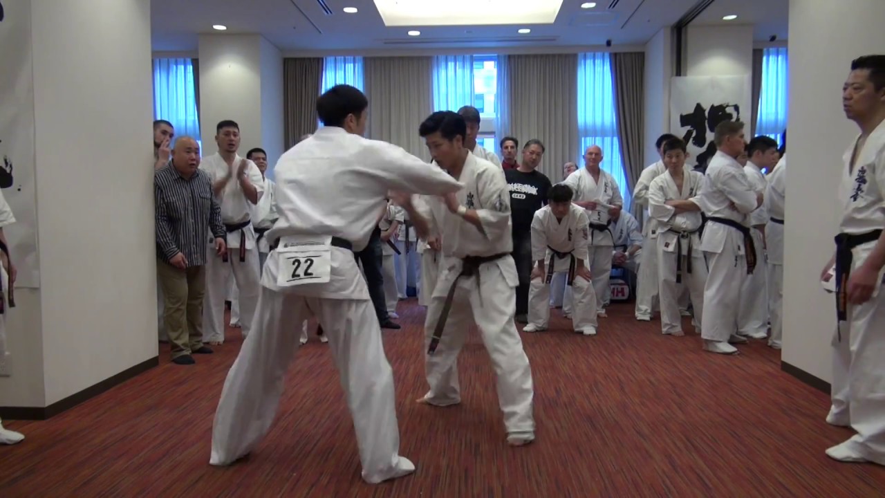 【新極真会】2018WKO昇段審査会　森下穣　SHINKYOKUSHINKAI KARATE
