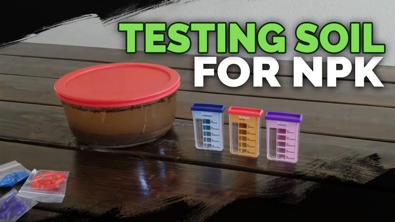 How to Test Your Soil for Nutrients