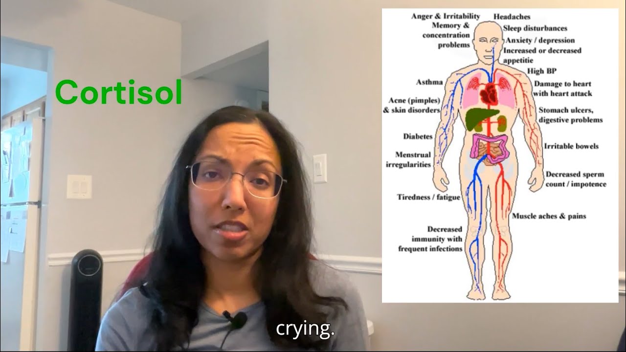 Beyond Fight or Flight: Freeze, Fawn, Cortisol, and Tend & Befriend Responses